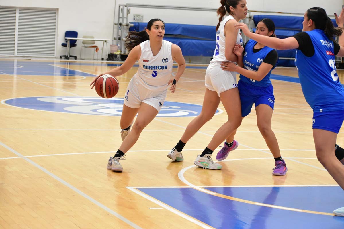 Borregas recibe en casa a las Aztecas de la UDLAP