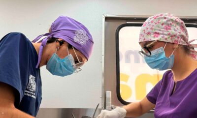 El quirófano veterinario móvil del municipio de Aguascalientes dará servicio en Viñedos del Sur y Hacienda Nueva