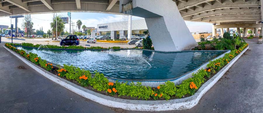 Embellece Municipio de Aguascalientes la ciudad con más de seis mil plantas de cempasúchil