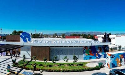 Leo Montañez hace historia con el primer Hospital Veterinario Municipal