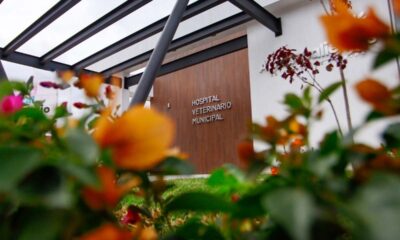 Próximo 3 de noviembre inauguración del Hospital Veterinario Municipal