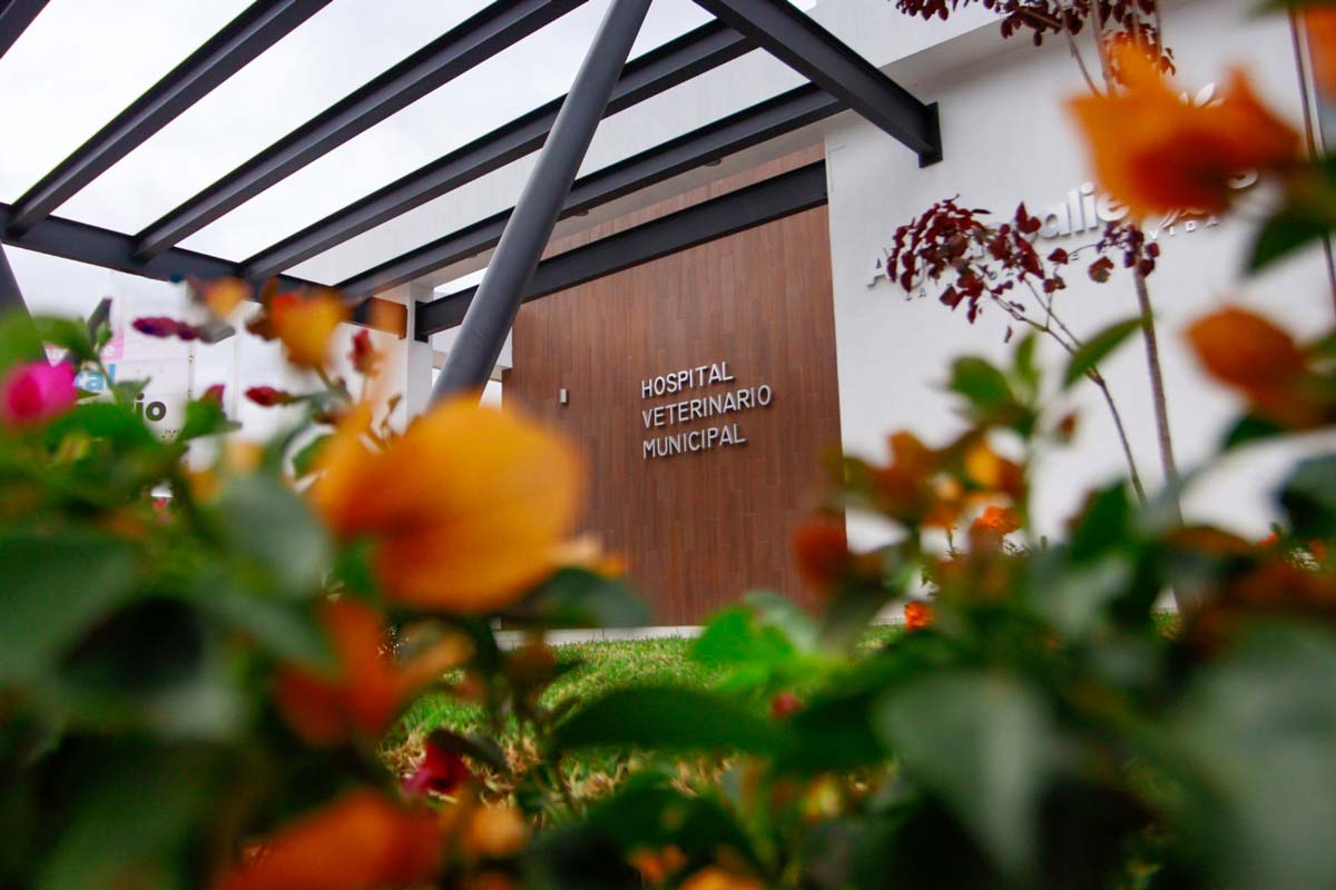 Próximo 3 de noviembre inauguración del Hospital Veterinario Municipal