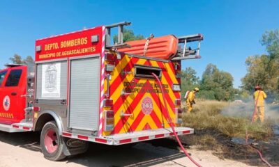 Atiende Municipio de Aguascalientes aumento de incendios de pasto seco