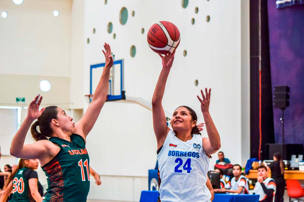 Borregas ITESM Aguascalientes se juegan la permanencia en la Liga ABE