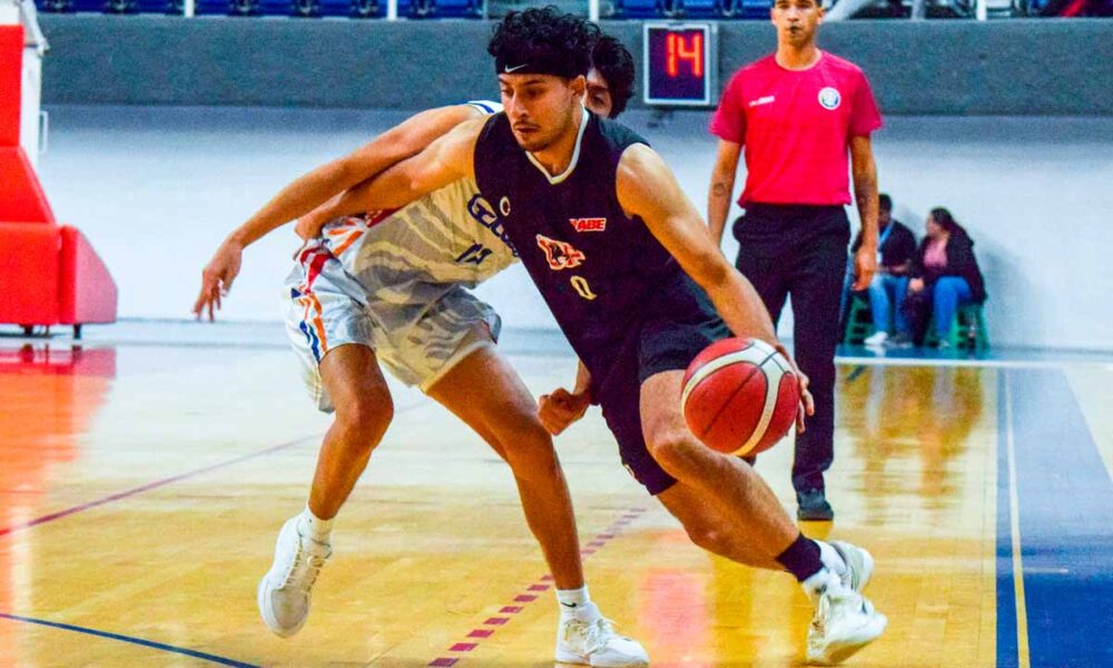 Panteras UP Aguascalientes se imponen a Gallos UAA en vibrante Clásico de la Liga ABE