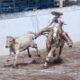 San José de Gracia será sede de la Eliminatoria Estatal de Charrería rumbo a la Olimpiada Nacional