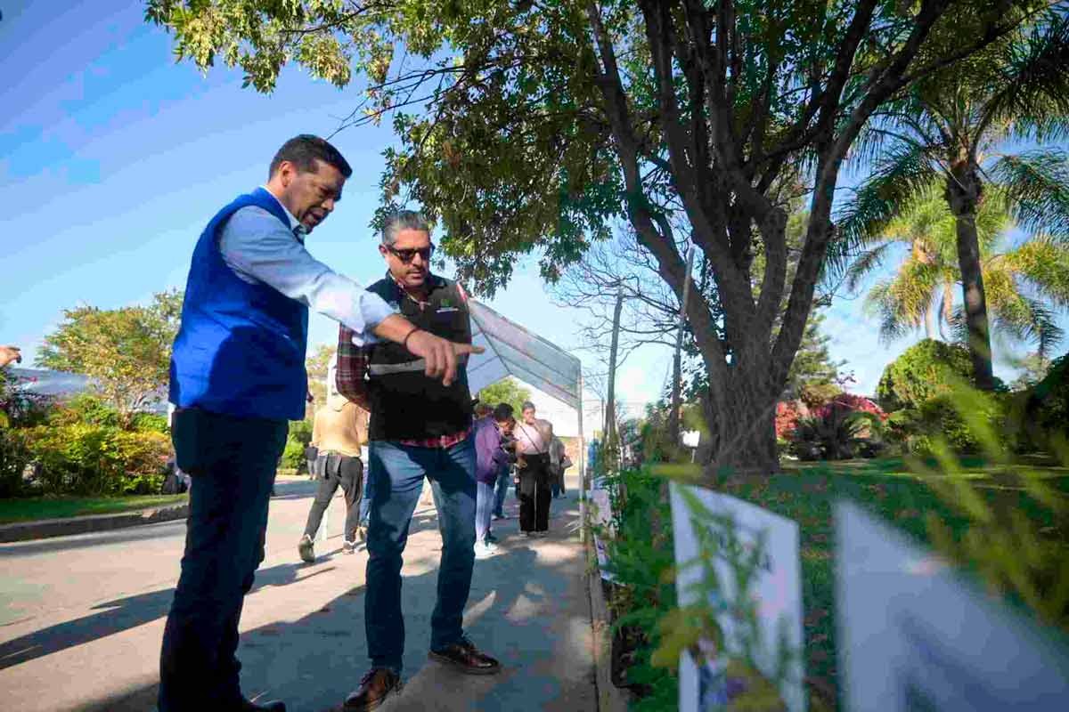 Cómo obtener árboles gratis en Aguascalientes Leo Montañez lanza campaña de donación por reciclaje