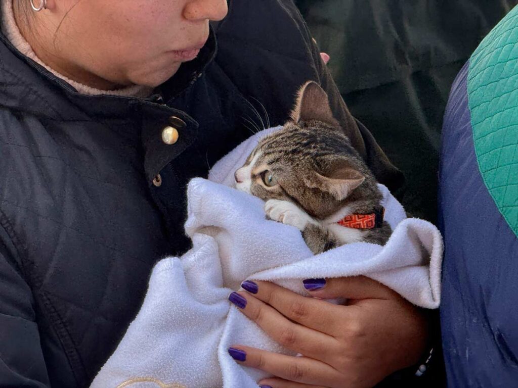 Esterilización y Vacunación de Mascotas en Aguascalientes: Quirófano Móvil llega a Cañada Grande de Cotorina