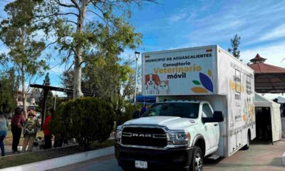 Esterilización y Vacunación de Mascotas en Aguascalientes