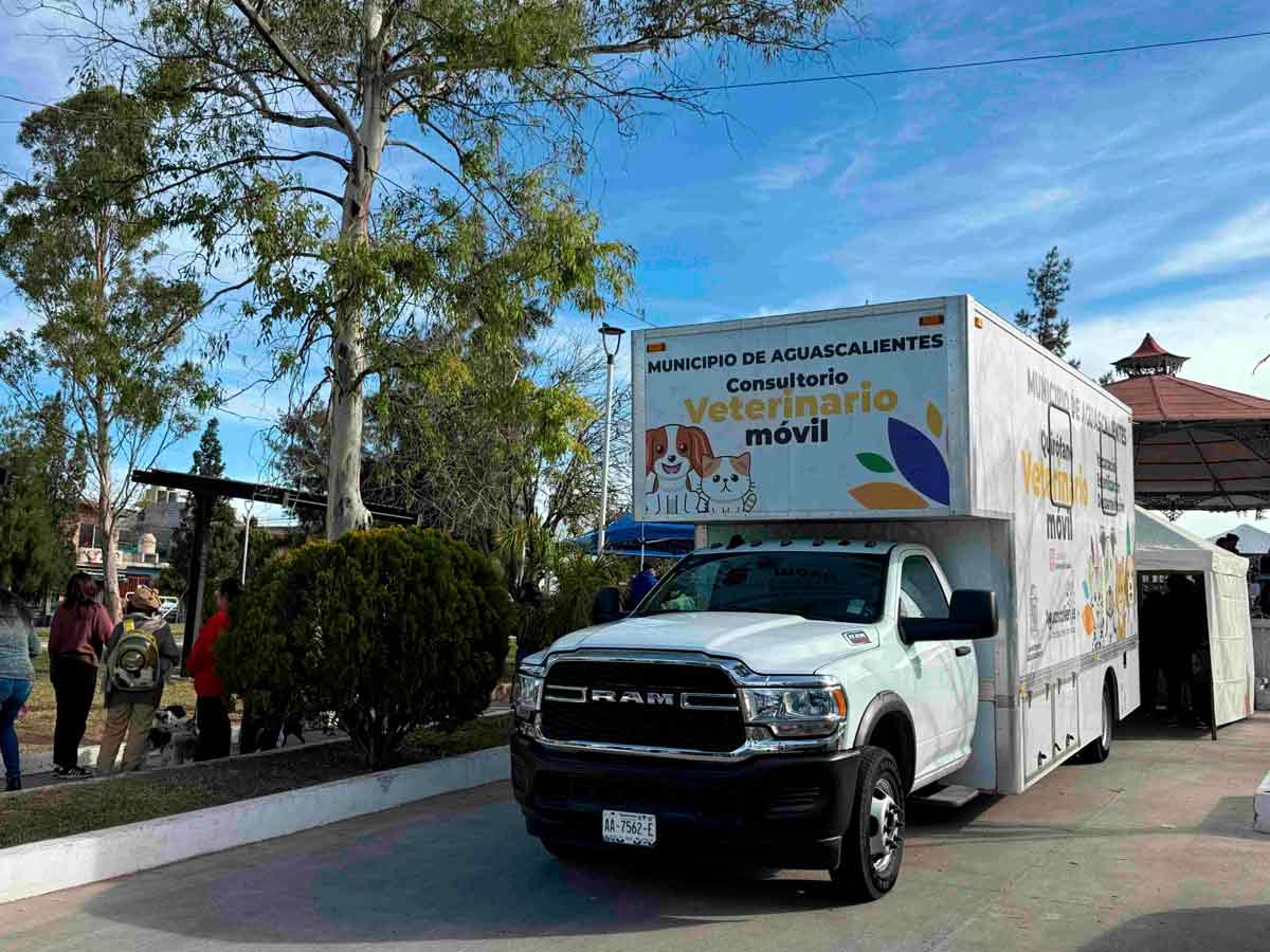 Esterilización y Vacunación de Mascotas en Aguascalientes