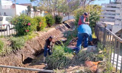 Leo Montañez intensifica limpieza de canales en Aguascalientes para prevenir inundaciones en 2026