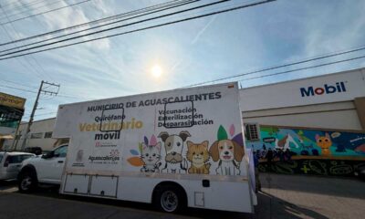 Mega Jornada de Esterilización Gratuita en Aguascalientes: Fecha Requisitos y Sede