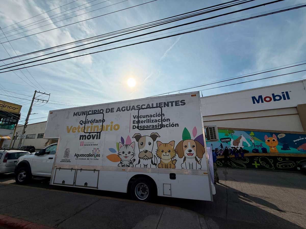 Mega Jornada de Esterilización Gratuita en Aguascalientes: Fecha Requisitos y Sede