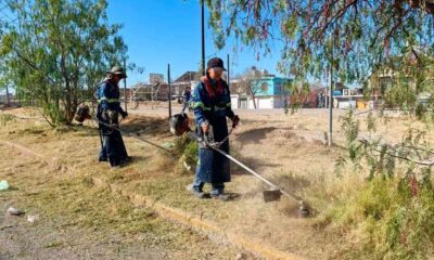 Mega operativo de limpieza en Aguascalientes: Intervienen el Fraccionamiento J. Guadalupe Peralta