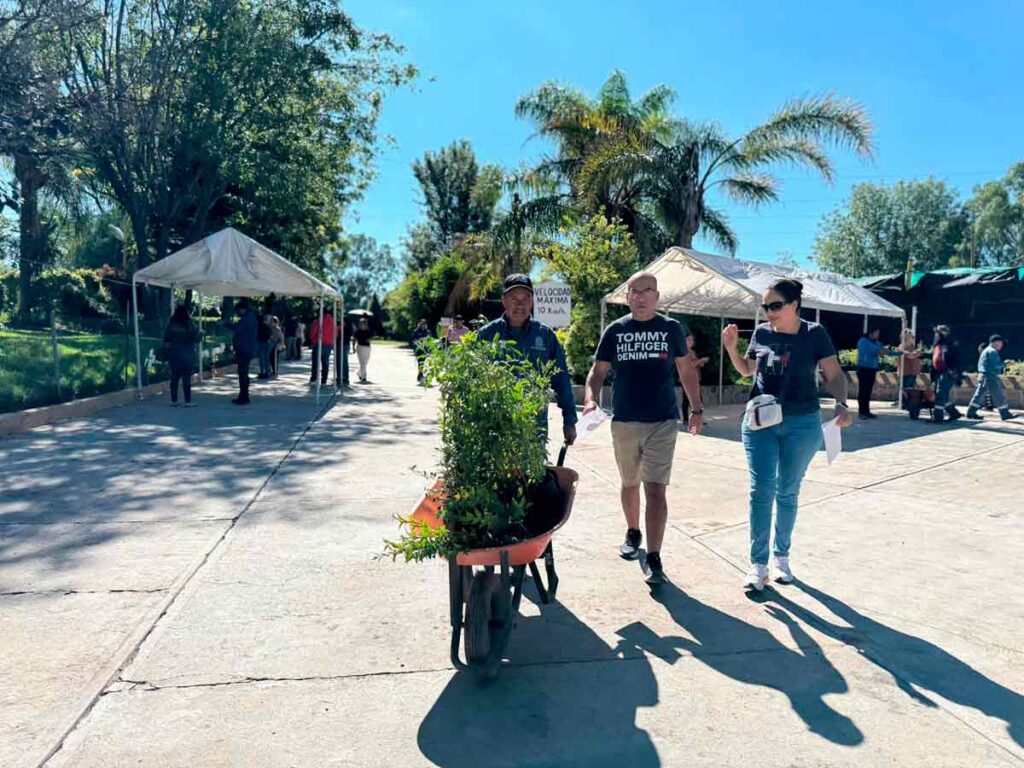 Municipio de Aguascalientes lanza campaña de donación de plantas: Cambia tu PET por vida verde