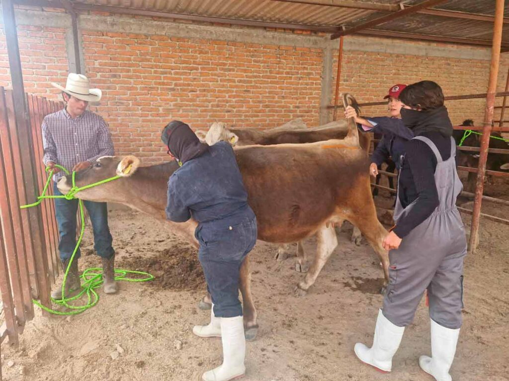 Municipio de Aguascalientes y UAA inician la Clínica Veterinaria Ambulatoria 2026 en Peñuelas