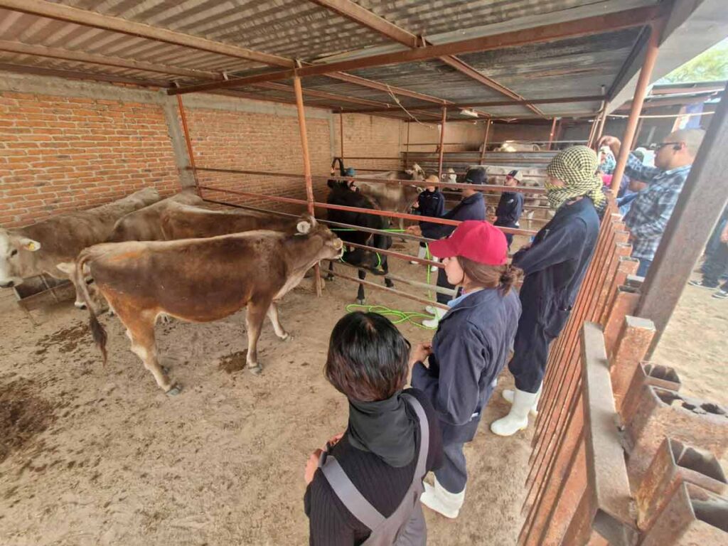 Municipio de Aguascalientes y UAA inician la Clínica Veterinaria Ambulatoria 2026 en Peñuelas