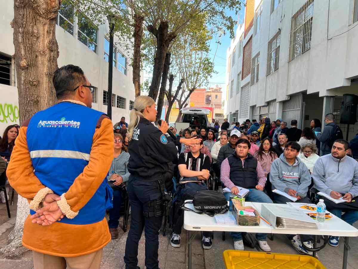 ¿Cómo renovar tu licencia de conducir en Cañada Honda? Requisitos costos y horarios