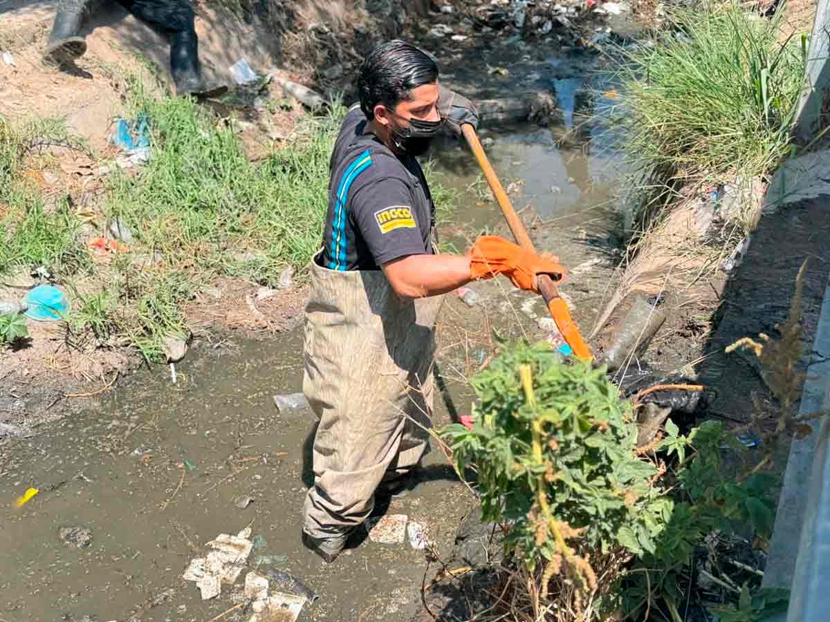 Arroyo El Cedazo: Limpieza Intensiva Contra Encharcamientos