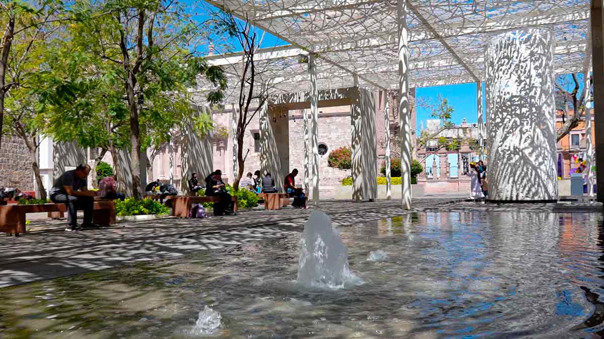 Ola de calor en Aguascalientes: Guía completa de salud y cuidado animal
