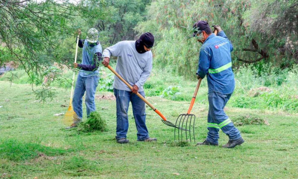 Río San Pedro: Mega operativo de limpieza retira 50 toneladas en Aguascalientes