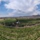 Vinos de Aguascalientes ganan medallas de oro en España