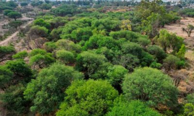 Cabildo de Aguascalientes Aprueba Compra de La Pona por 101 Millones